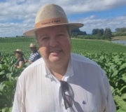 RS: São Lourenço do Sul destaca representatividade da cultura do tabaco no agronegócio gaúcho